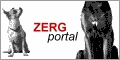 ZERGportal.de - Die Webdatenbanken für Hundefreunde